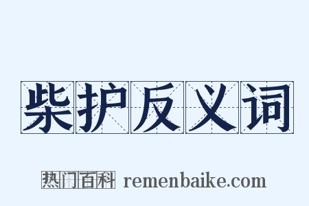 柴护反义词是什么意思的图片
